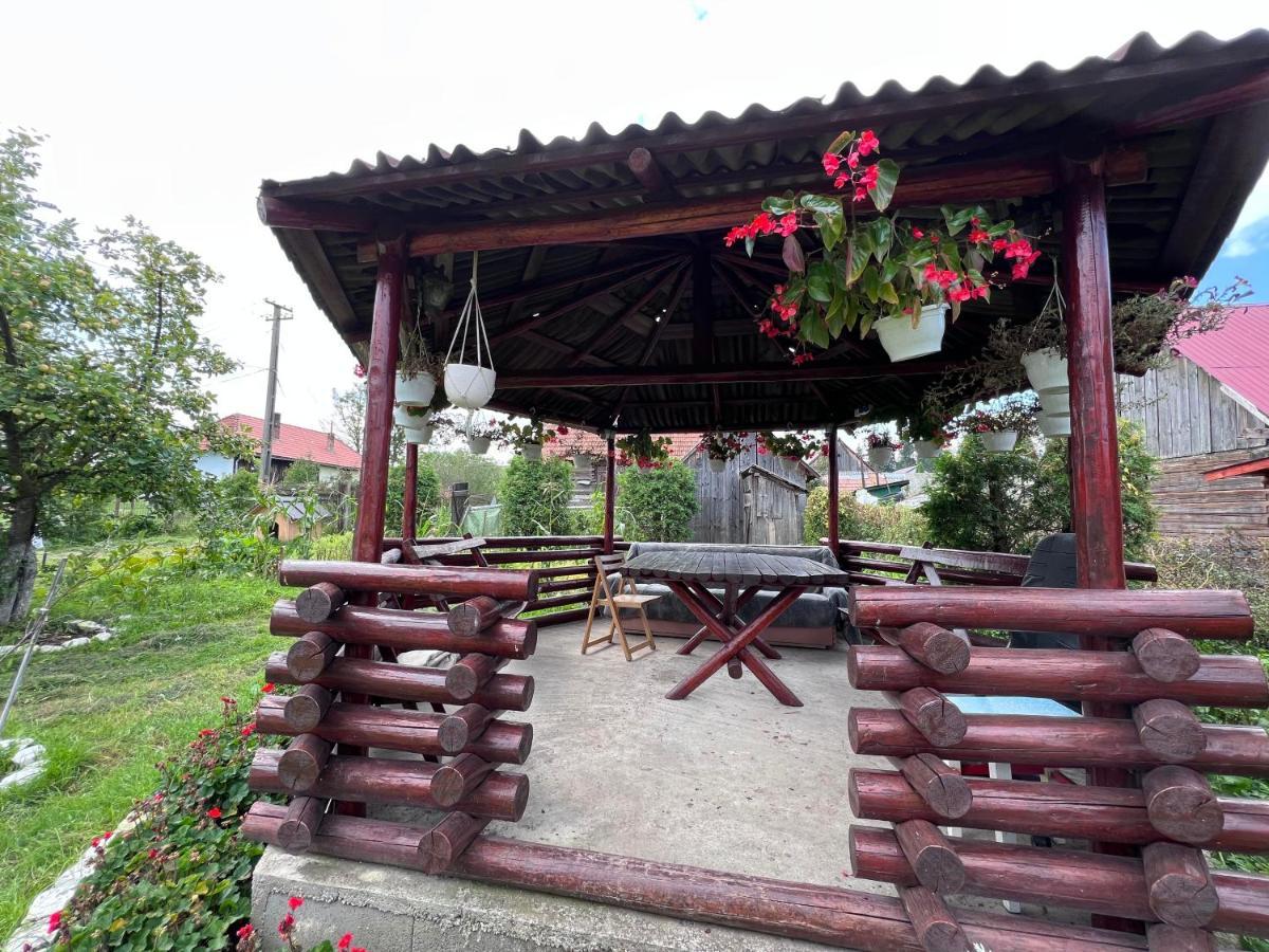 Casa Helen Insurance&Tourism ξενώνας Galócaş Εξωτερικό φωτογραφία