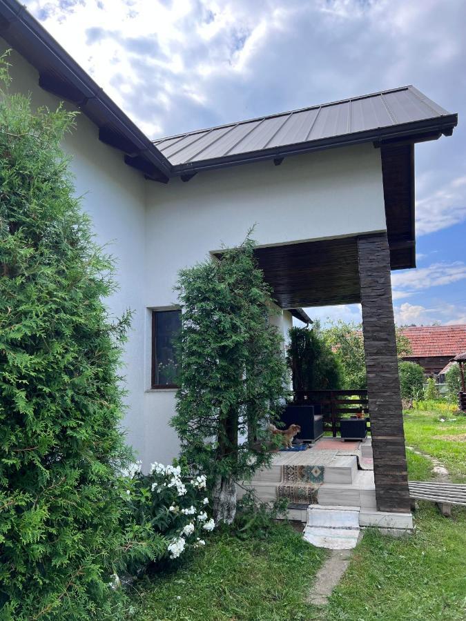 Casa Helen Insurance&Tourism ξενώνας Galócaş Εξωτερικό φωτογραφία