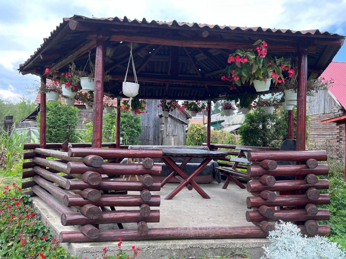 Casa Helen Insurance&Tourism ξενώνας Galócaş Εξωτερικό φωτογραφία