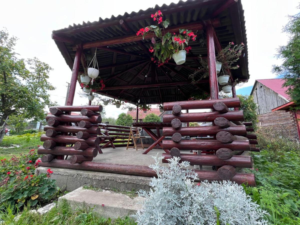 Casa Helen Insurance&Tourism ξενώνας Galócaş Εξωτερικό φωτογραφία